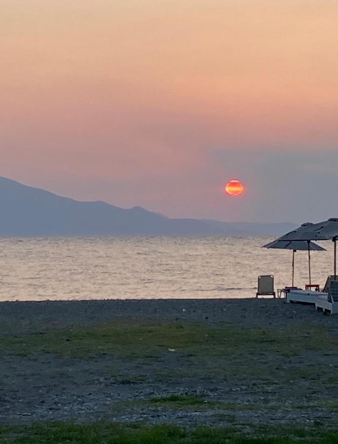 Mirtia Hotel ペフキ エクステリア 写真